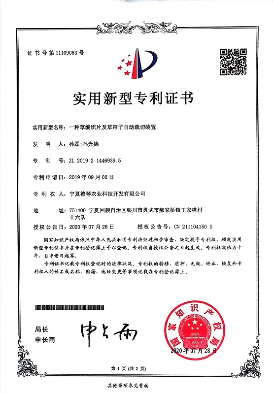 寧夏91视频免费网站子