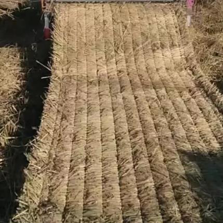 91视频免费网站廠家批發